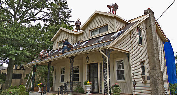 Best Storm Damage Roof Repair  in Bayou Vista, TX